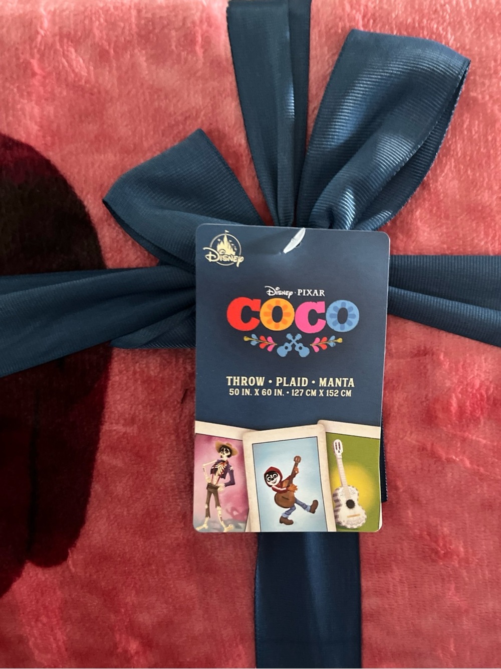 NWT Disney Pixar’s Coco Dante Lotería Throw Blanket plus a free gift